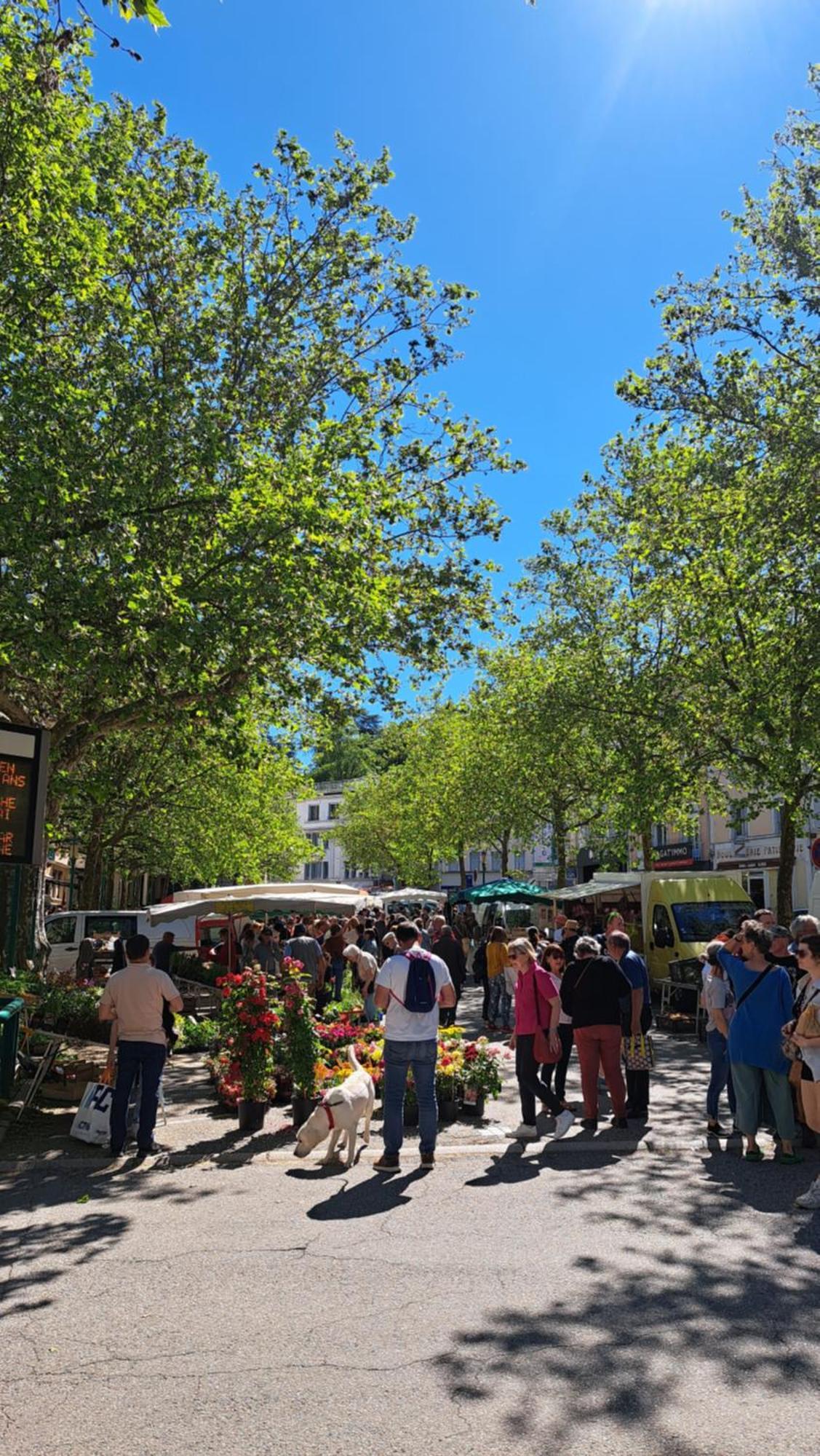 فيلا Du Doubs Au Doux لاماستر المظهر الخارجي الصورة
